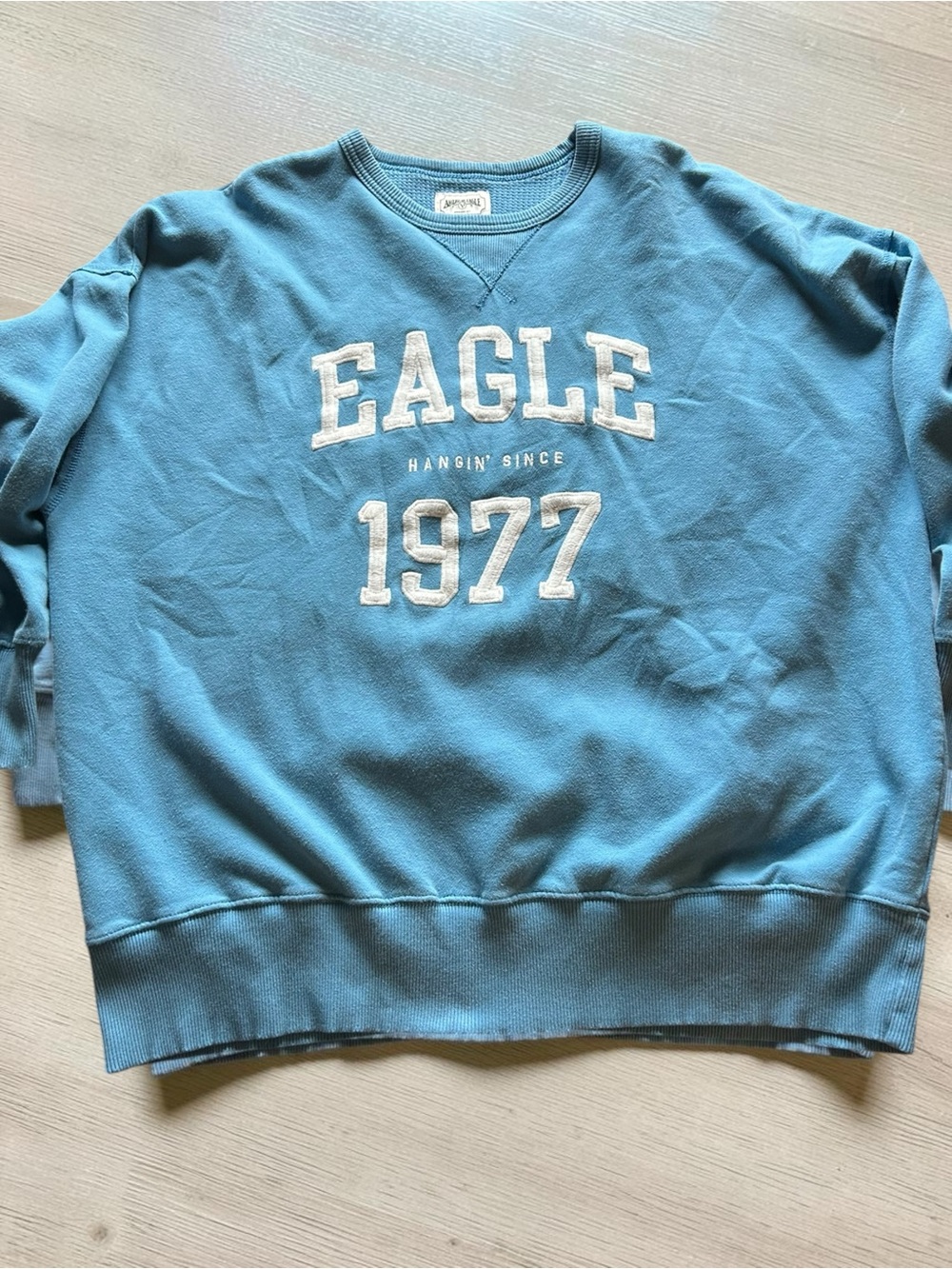 American Eagle Oversized Eagle 1977 Graphic Crewneck Sweatshirt XL